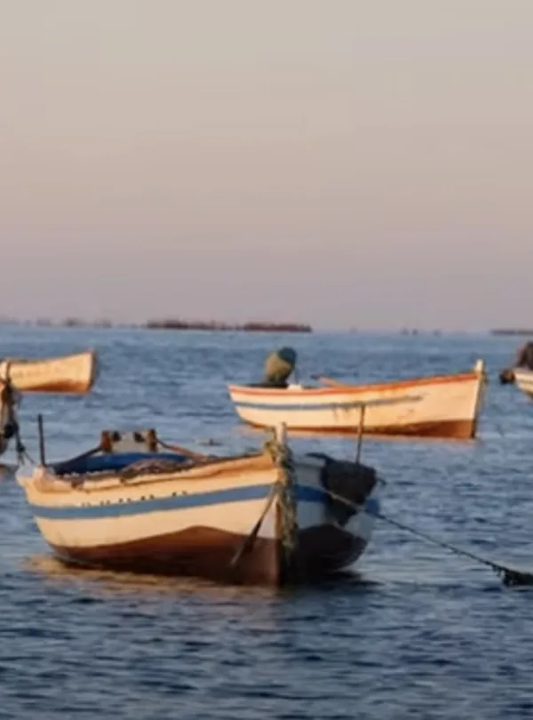 several boats in the water
