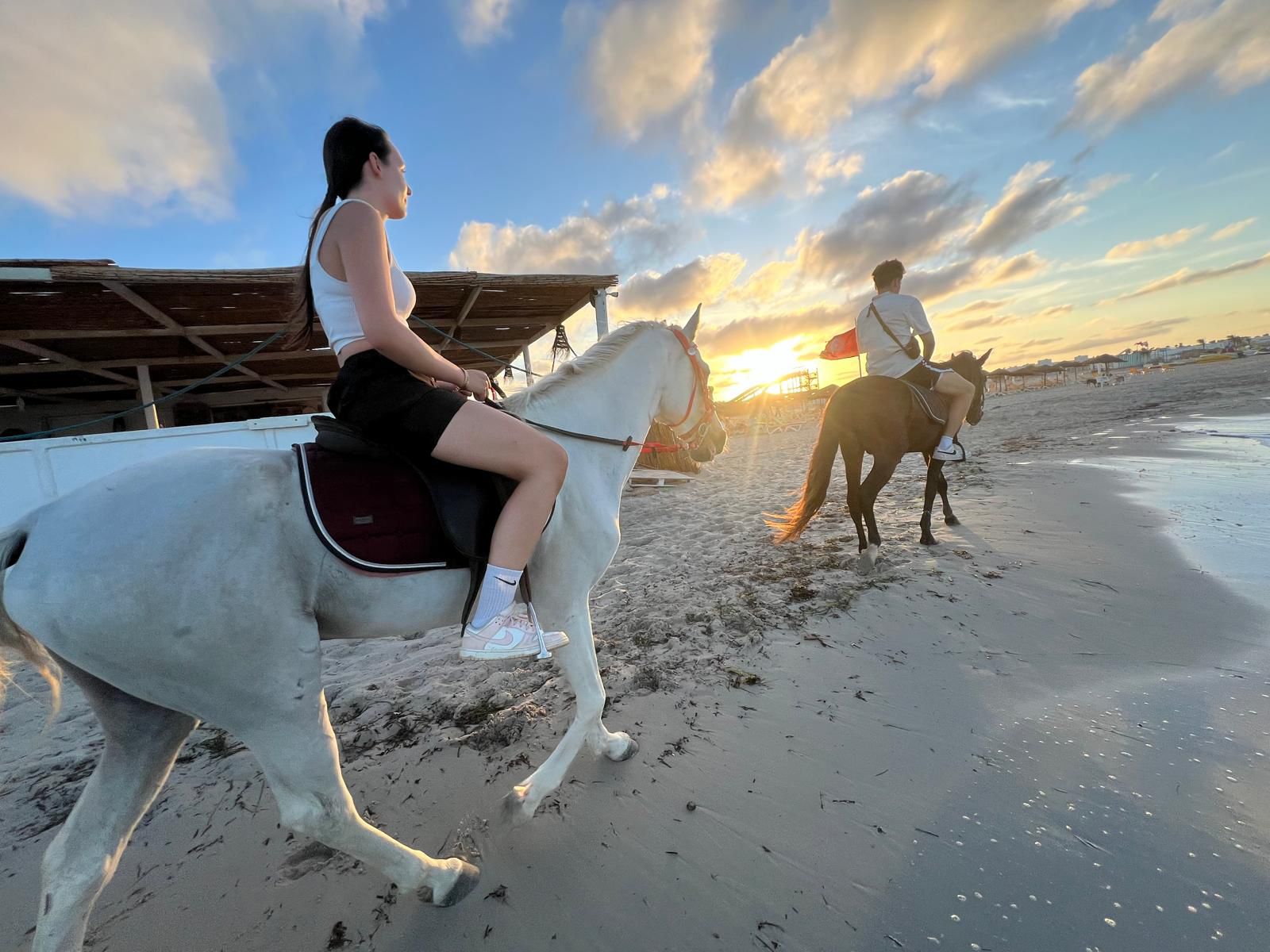 Stage d&rsquo;équitation de 3 heures pour enfants et adultes débutants